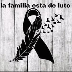 Meet your Posher, Lucio